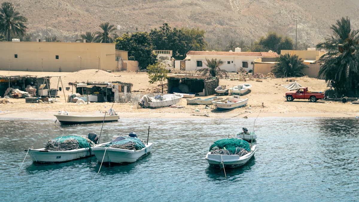 Fujairah port and coastline representing maritime and energy workforce